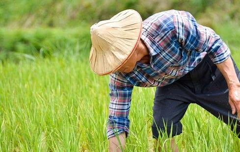 農(nóng)村俗語(yǔ) 窮在鬧市無(wú)人問(wèn), 富在山間有遠(yuǎn)親 , 事實(shí)真是這樣嗎